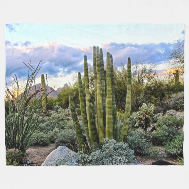 Scottsdale Succulent Sunset Fleecedecke (Vorderseite (Horizontal))