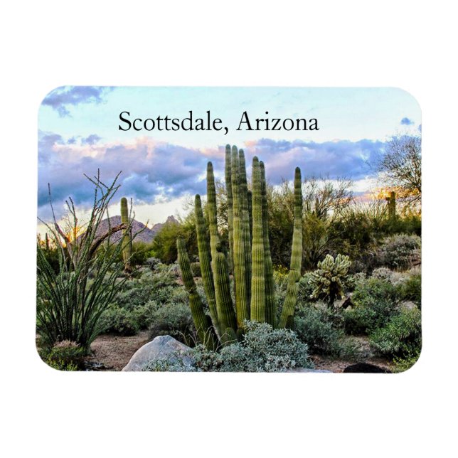 Scottsdale Succulent Sunset, Scottsdale, Arizona Magnet (Horizontal)