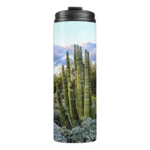 Scottsdale Succulent Sunset Thermosbecher