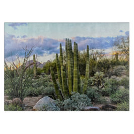 Scottsdale Sukkulter Sonnenuntergang Schneidebrett