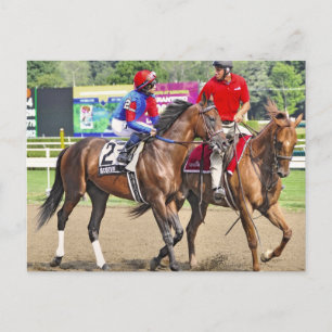 Scotus von Erfolgreichem Appeal-Göttlich Postkarte