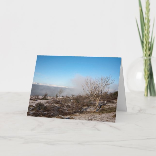 Scout Scar Cumbria England Ferienkarte Karte (Vorderseite)