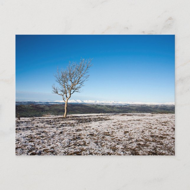 Scout Scar Winter Lake District England Postkarte (Vorderseite)