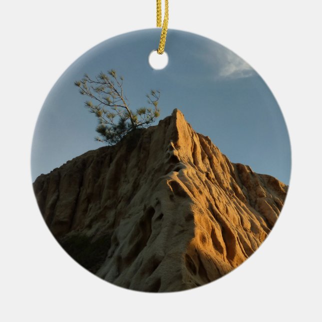 Scraggy Torrey Pine bei Sunset California Coast Keramik Ornament (Vorne)