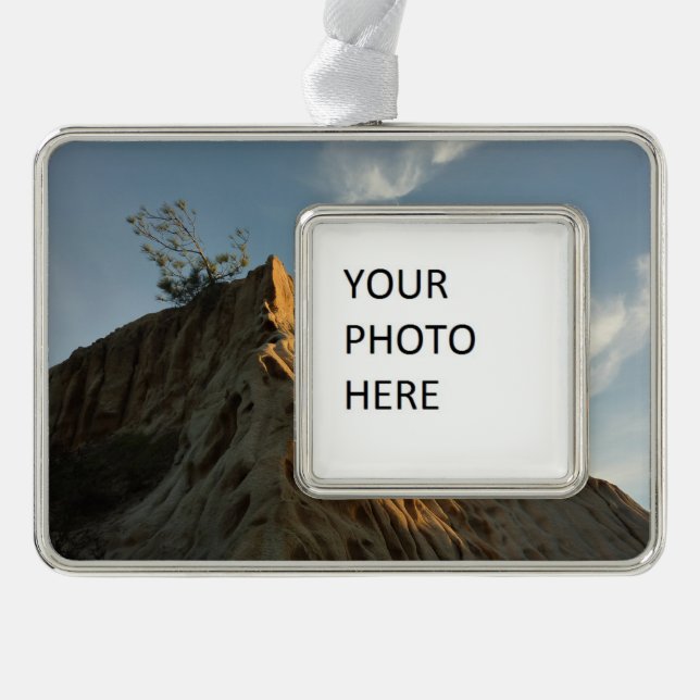 Scraggy Torrey Pine bei Sunset California Coast Rahmen-Ornament Silber (Vorderseite)