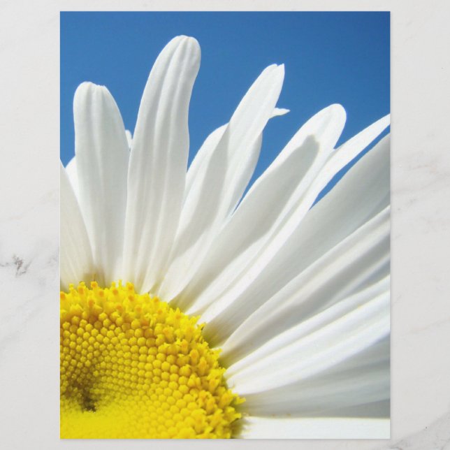 Scrapbook Theme Paper Floral White Daisy Blume (Vorderseite)