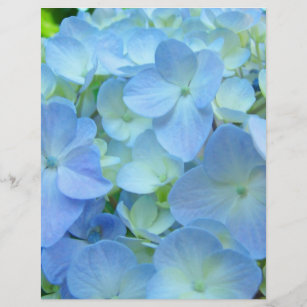Scrapbooking Papier Floral Theme Blue Hydrangeas
