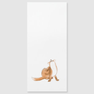 Scratching fox magnetkarte