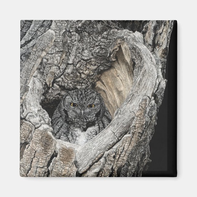 Screech Owl Magnet - "Herz von San Pedro" (Vorne)