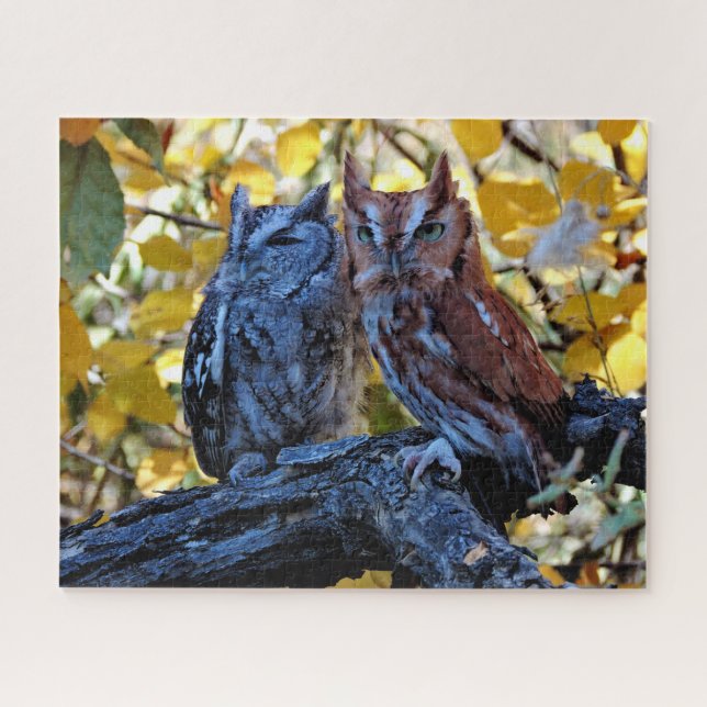 Screech Owls Puzzle (Horizontal)