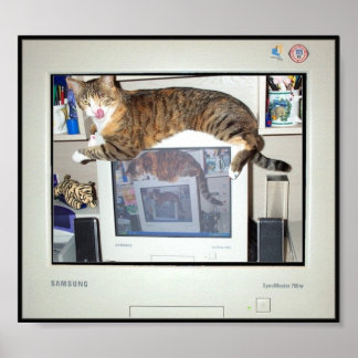 Screen Savor Prints Poster