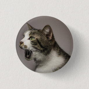 Screening Cat Button