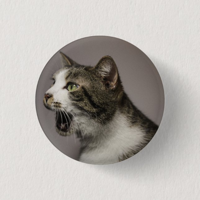 Screening Cat Button (Vorderseite)