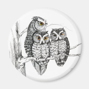 Screening Owl Family Magnet