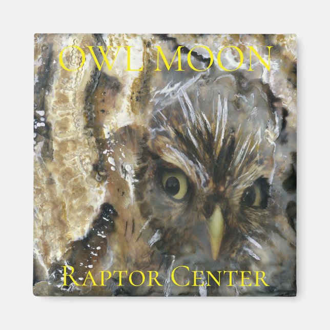 Screening Owl Magnet (Vorne)