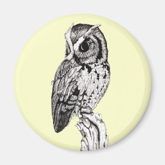 Screening Owl Magnet