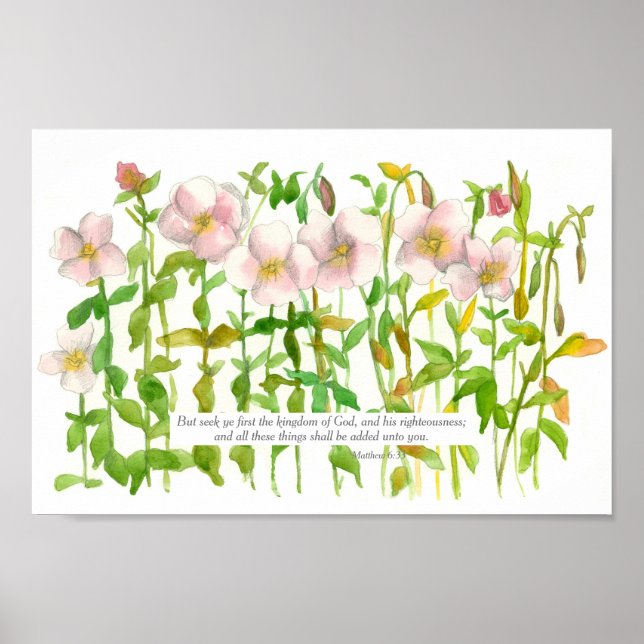 Scripture Matthew 6:33 Bibel Verse Primrose Blume Poster (Vorne)