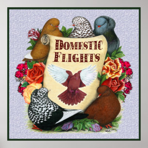 Scroll im Inlandsflug Poster