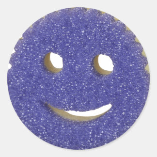 Scrub Daddy Sticker