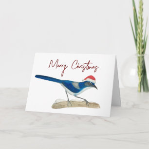 Scrub Jay Weihnachten Karte