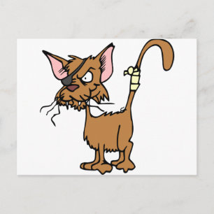 Scruffy Cat Postkarte