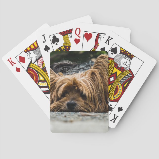 Scruffy Hund schlendernd Spielkarten (Rückseite)