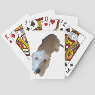 Scruffy Hund Spielkarten