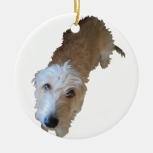 Scruffy Hunde Ornament