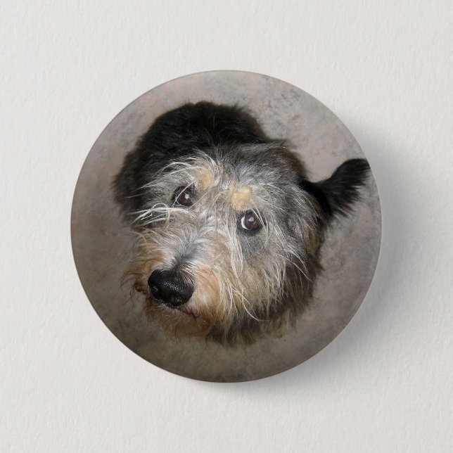 Scruffy niedlich Hund Abzeichen Button (Vorderseite)