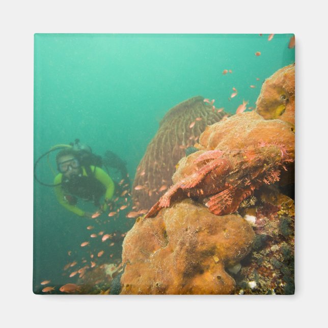 Scuba Diver & Scorpionfish Scorpanopsis Magnet (Vorne)