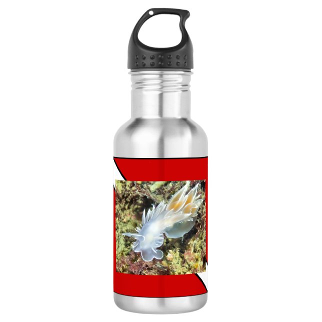 Scuba Diver Water Flasche Edelstahlflasche (Vorderseite)