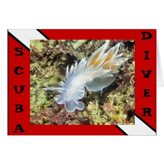 Scuba Divier NudiBranch Card (Vorderseite (Horizontal))