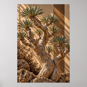 Sculptural Yucca-Baum in Goldenem Licht Wandkunst Poster