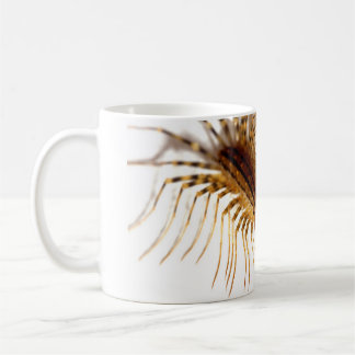Scutigera coleoptrata kaffeetasse