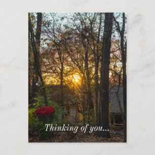 SDC Woods Sunset Denken Sie an Ihre Postkarte