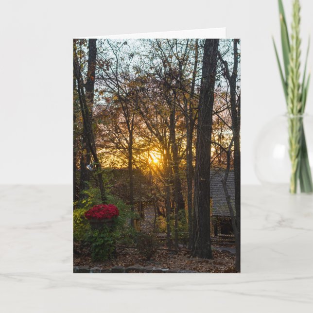 SDC Woods Sunset Karte (Vorderseite)