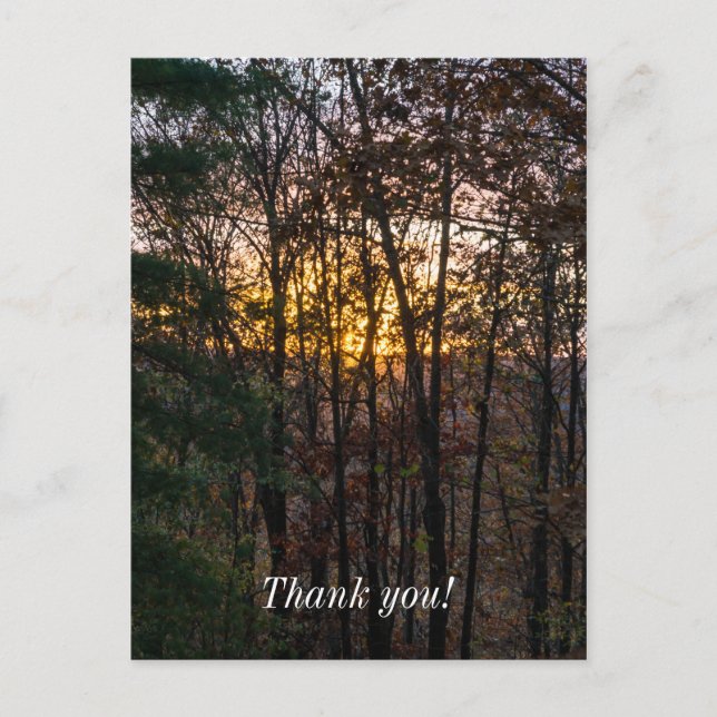 SDC Woody Sunset Postkarte (Vorderseite)