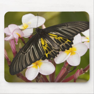 SE Asien, Thailand, Khon Kaen Mousepad