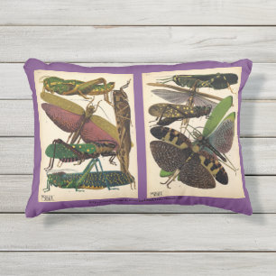 "SE Seguy-Insect Fashion" Kissen Für Draußen