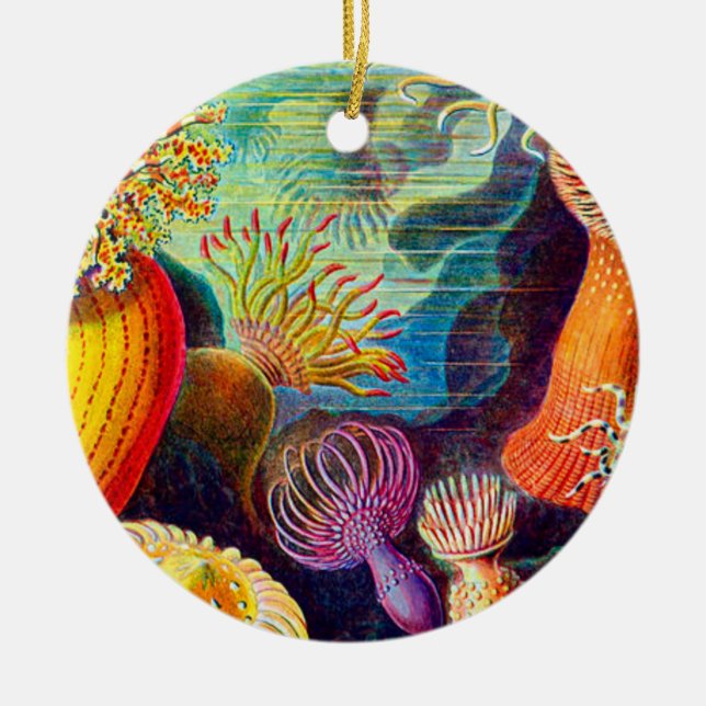 Sea Anemone - Ernst Haeckel Keramik Ornament (Vorne)