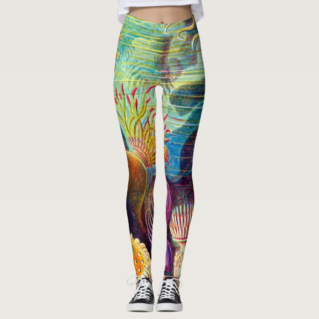 Sea Anemone - Ernst Haeckel Leggings (Vorderseite)