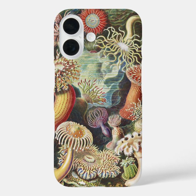 Sea Anemone Scientific Nature Ocean Case-Mate iPhone Hülle (Rückseite)