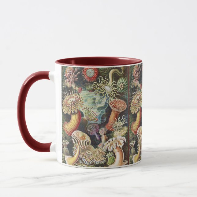Sea Anemone Scientific Nature Ocean Tasse (Links)