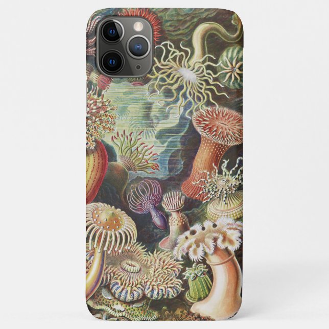 Sea Anemones, Actiniae Seeanemonen Ernst Haeckel Case-Mate iPhone Hülle (Rückseite)