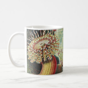 Sea Anemones, Actiniae Seeanemonen Ernst Haeckel Kaffeetasse