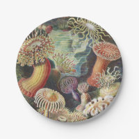 Sea Anemones, Actiniae Seeanemonen Ernst Haeckel