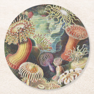 Sea Anemones, Actiniae Seeanemonen Ernst Haeckel Runder Pappuntersetzer