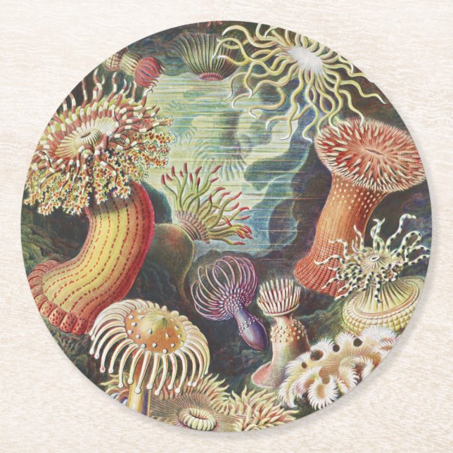 Sea Anemones, Actiniae Seeanemonen Ernst Haeckel Runder Pappuntersetzer (Vorderseite)