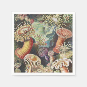 Sea Anemones, Actiniae Seeanemonen Ernst Haeckel Serviette
