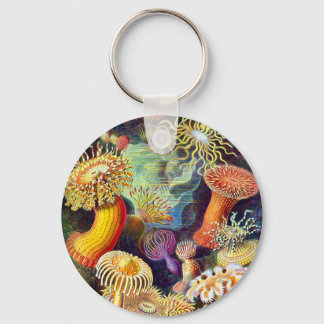 Sea Anemones Ernst Haeckel Fine Art Schlüsselanhänger
